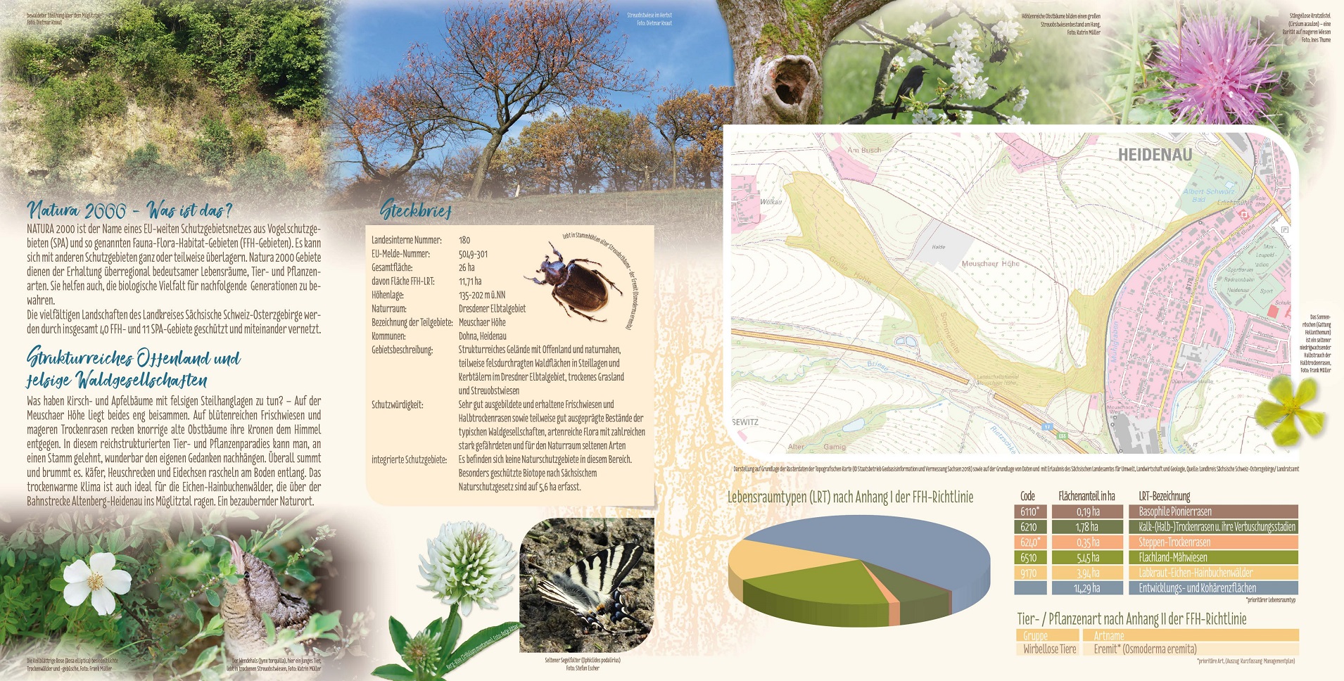 tl_files/downloads/Bilder Projekte/Projektstellen/Natura 2000 1.0/Flyer/Meuschaer_Hoehe_2.jpg